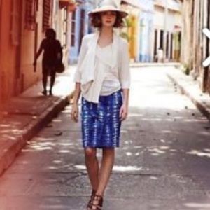 Anthropologie Eva Franco skirt